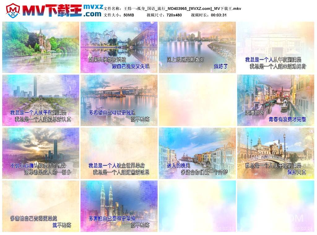 王炜一-孤身_国语_流行_MD403965